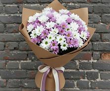 Букет цветов из:  Хризантемы #REPLACE_PRED# Лесной Городок