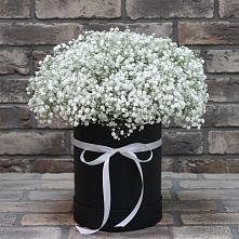 Цветочная композиция из Гипсофила в шляпной коробке #REPLACE_PRED# Лесной Городок