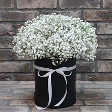 Цветочная композиция из Гипсофила в шляпной коробке в Лесной Городок